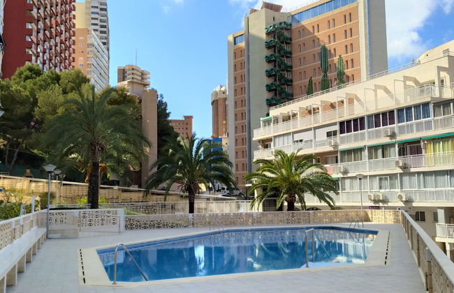 Halcon Levante - Foto 19