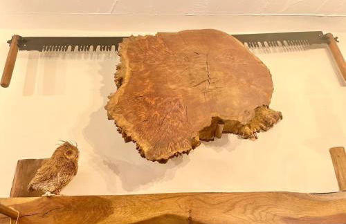 RURAL stone barn with Log Burner, tranquil setting - Foto 41