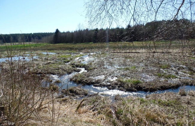 Holiday Home in La Roche en Ardennes - Photo 28