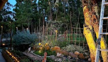 Casa 99 in Barbéns, Miranda do Corvo - Foto 5, Garden, Garden view
