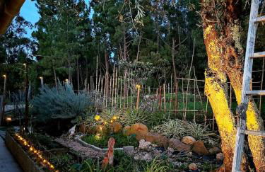 Casa 99 in Barbéns, Miranda do Corvo - Foto 5