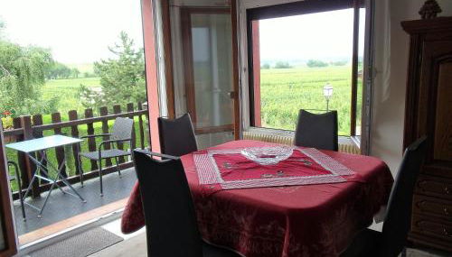 Gite "le vignoble " 2 pers coté vignes - Photo 2