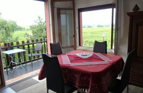 Gite "le vignoble " 2 pers coté vignes - Photo 2