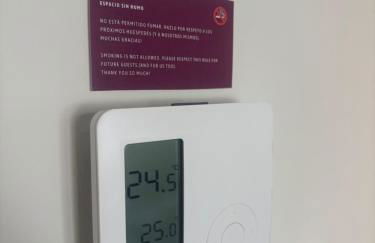 Ágave azul - Foto 23