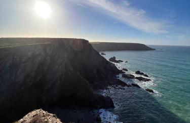 Morthana Shepherd Hut - Foto 18