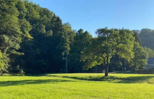 Ruridylle 2 - Foto 15