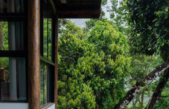 Casa Waimea - Foto 8