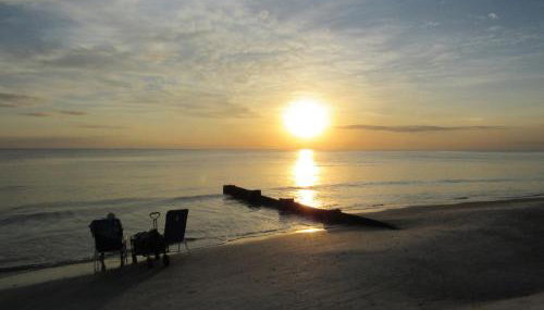 Madeira Bonita - Foto 4