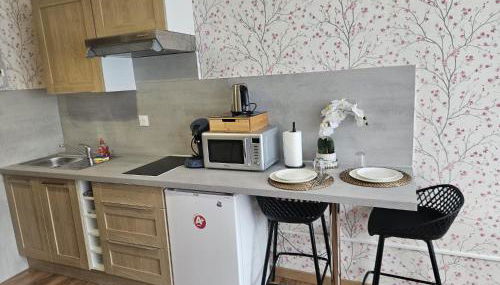 Studio Le Belvédère TURCKHEIM - Foto 3