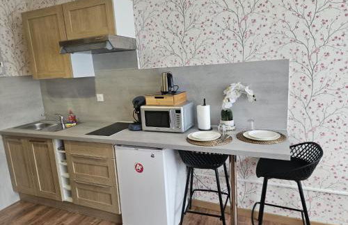 Studio Le Belvédère TURCKHEIM - Foto 3