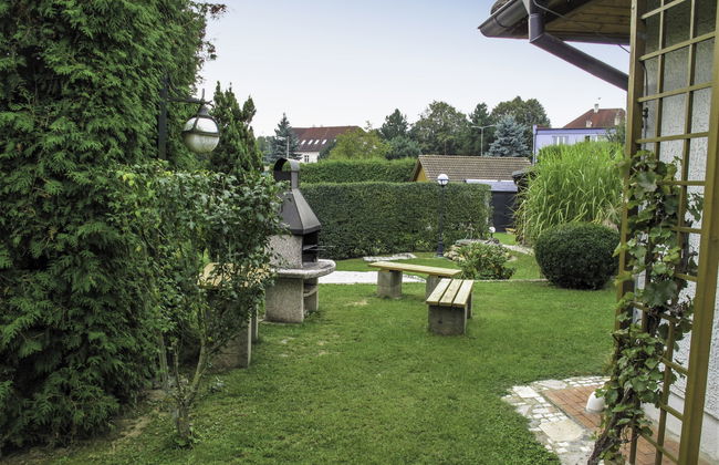 Petříkov - Foto 19