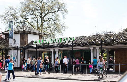 Mill Hill 2 Bed Apartment - Foto 13