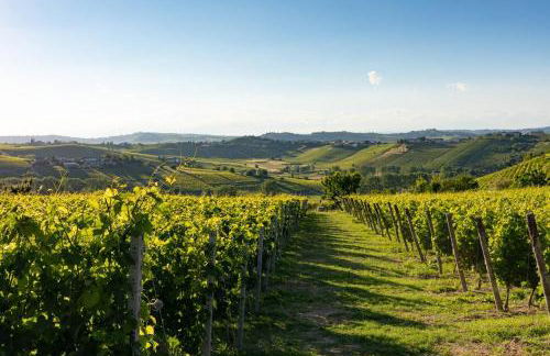 Luxe Villa, All Ensuites & Private Vineyard Views - Foto 19