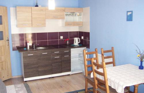 Apartamenty Dzika Orlica - Foto 74
