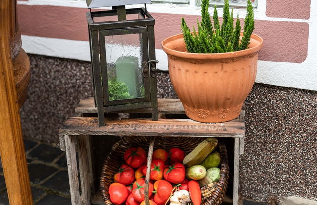 Apartment in Bruchhausen Right on the Fishing River - Foto 31