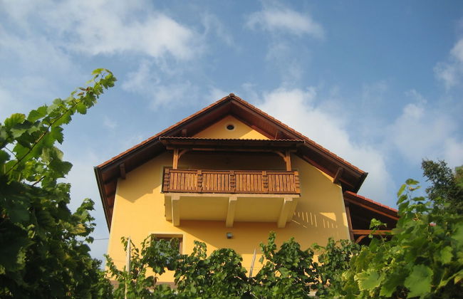 Vineyard cottage Ucman - Foto 1