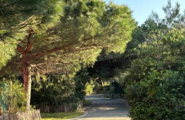 Les Flamants Roses La Capte T2 4 personnes 200m de la plage - Foto 14