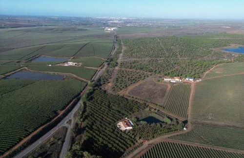 Monte do Pantaleão - Foto 20