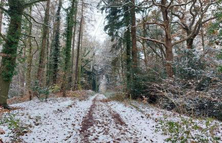 The Beehive - Self catering in the heart of the Forest of Dean - Photo 20