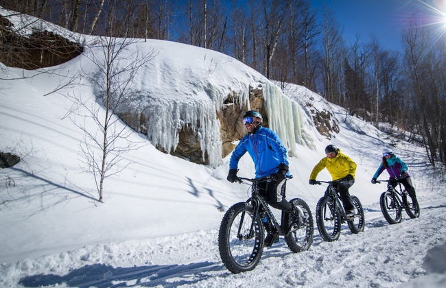 Station Farmhouse Tremblant - Foto 34