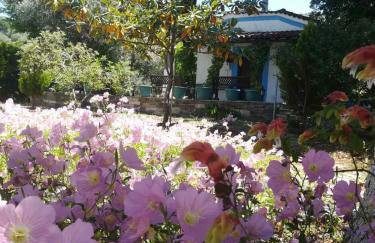 Almira Kalamos - Foto 44