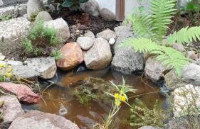 Beim Hufschmied - Foto 17