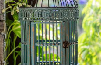 Villa Selini - Foto 34