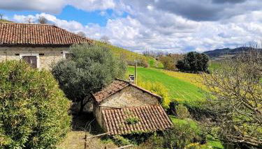 Appartamento Dolcetto in Cascina Marenco Langhe Country House - Foto 2, Garden, Garden view