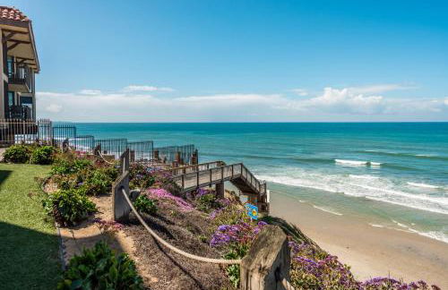 SandyToes-SunKist Nose-CHAT2 - Foto 39