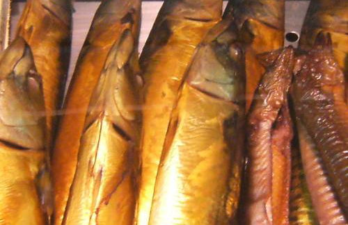 Haus Auf der Warft in Wangerland - Photo 4