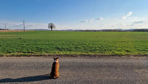 Maison de campagne avec bain nordique - Foto 3