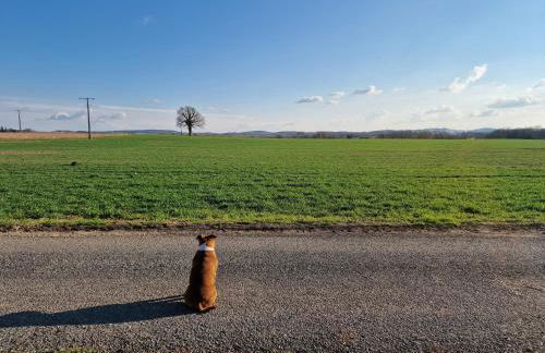 Maison de campagne avec bain nordique - Foto 3