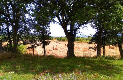 Agriturismo La Dependance - Foto 27