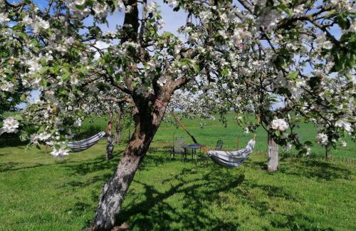 Apartament w Oklinach - Foto 35