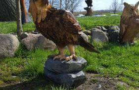 Ferienwohnung Finja in Putgarten, Kap Arkona Rügen - Foto 25