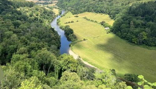 Forest view - Foto 3