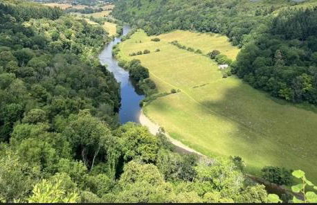 Forest view - Foto 3