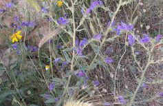 Magnifique vue sur la mer ... - Foto 67