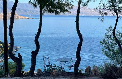 pines & sea - Foto 31