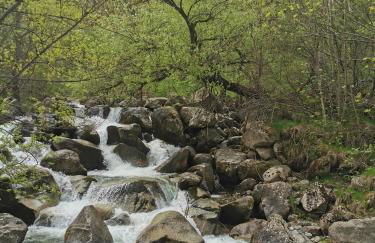 Casa Planominguero - Foto 9