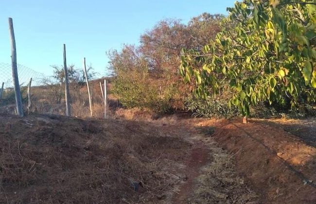 Eco Yoga Lounge Illawara - Foto 5