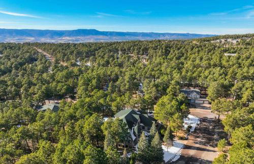 Peaceful Pines! Pool Table, Gym & Forest Views - Foto 41