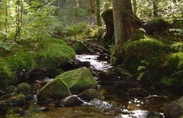 Ferienwohnungen Haus Marlene Kaiser - Foto 52