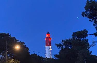 Cocon entre presqu'île du Cap Ferret et plages océanes - terrasse - 1 vélo gratuit - Foto 48