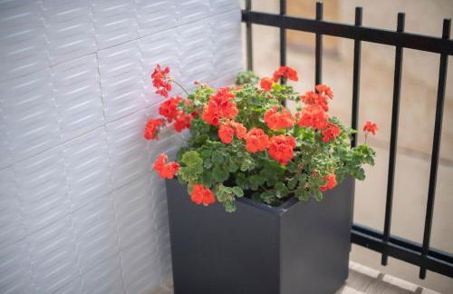 Apartamento a 100 metros de la playa - Foto 16