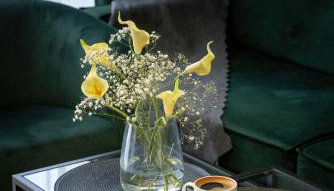 Sagaria - Easy - Rent Apartments - z basenem - Foto 2