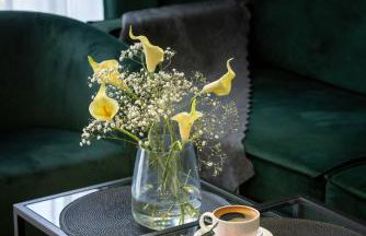 Sagaria - Easy - Rent Apartments - z basenem - Foto 2