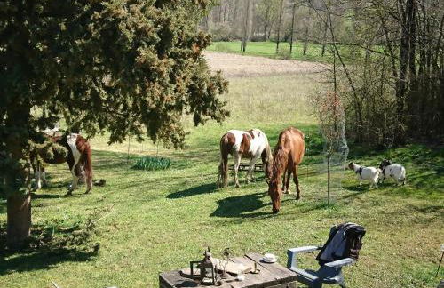 Comfortable Quiet House in the countryside Porte-du-Quercy for 8 people - Foto 1