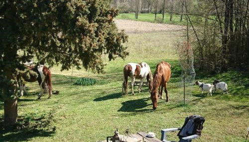 Comfortable Quiet House in the countryside Porte-du-Quercy for 8 people - Foto 1, Garden