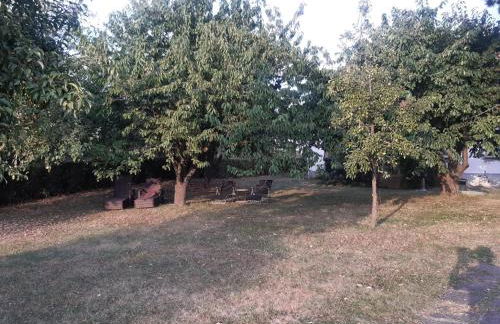 Ferienhaus am grossen See in Fuerstenwerder - Photo 27